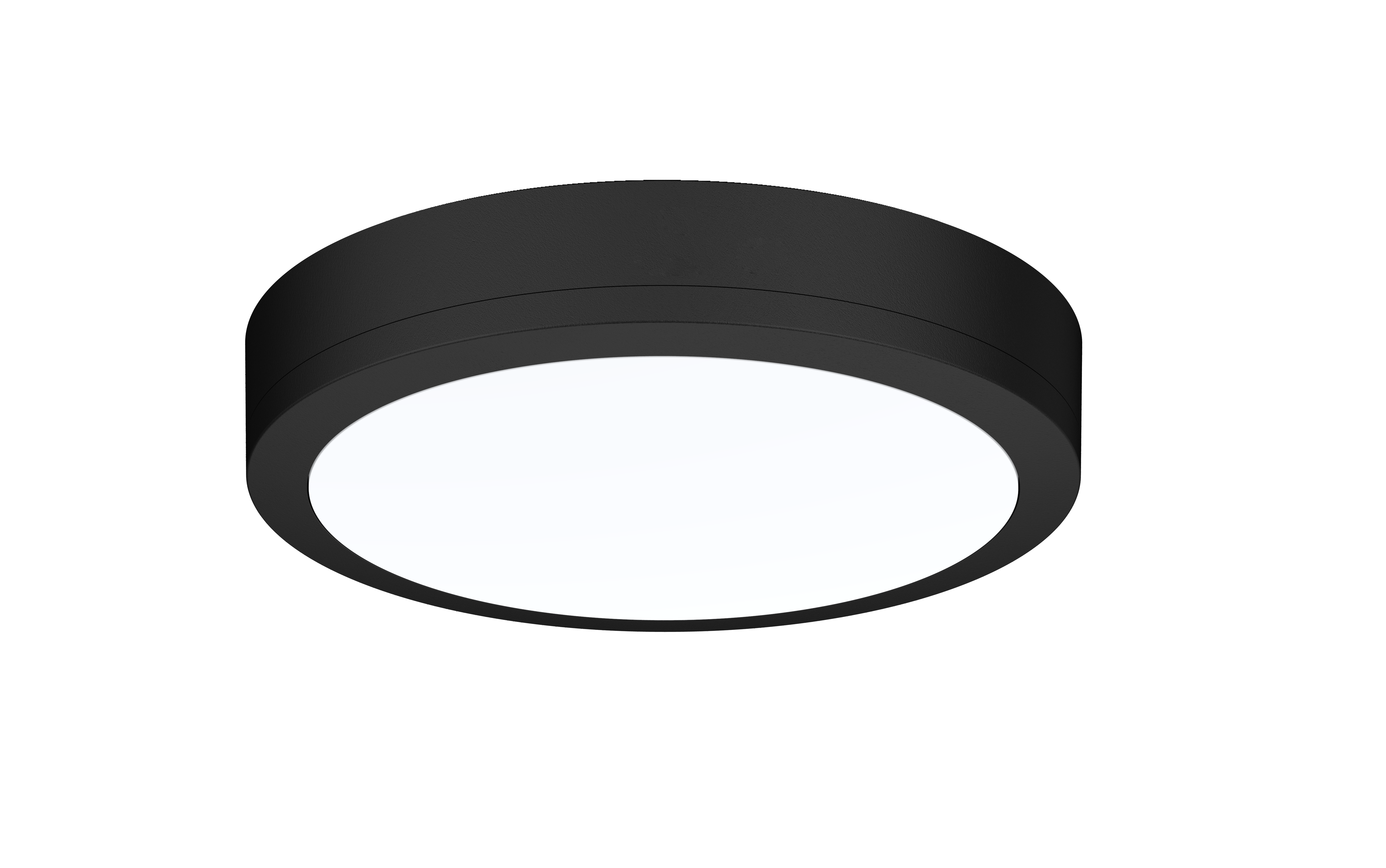 Fanir Circular — image 2