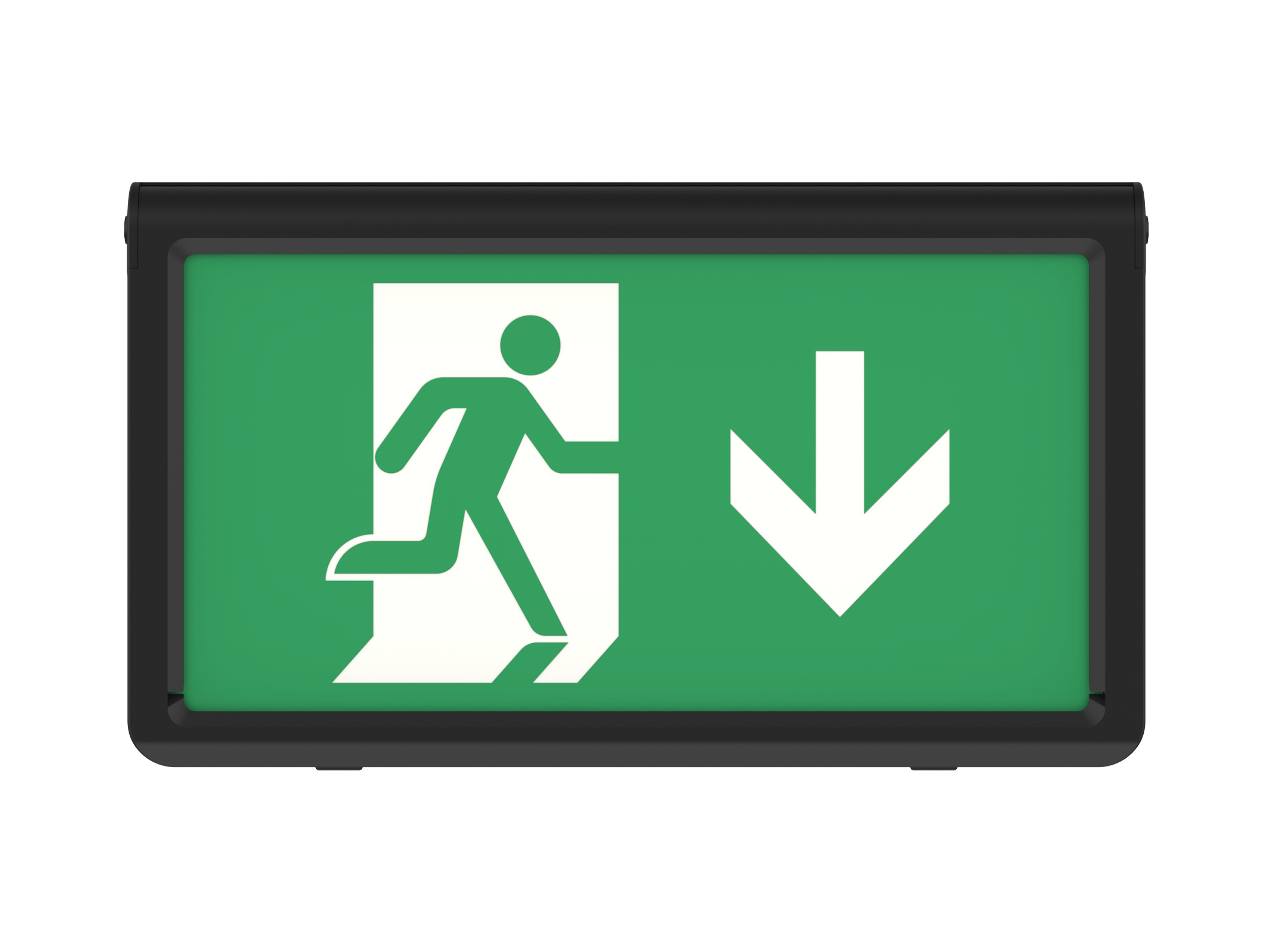 Paladin ST EM Exit Box — image 7