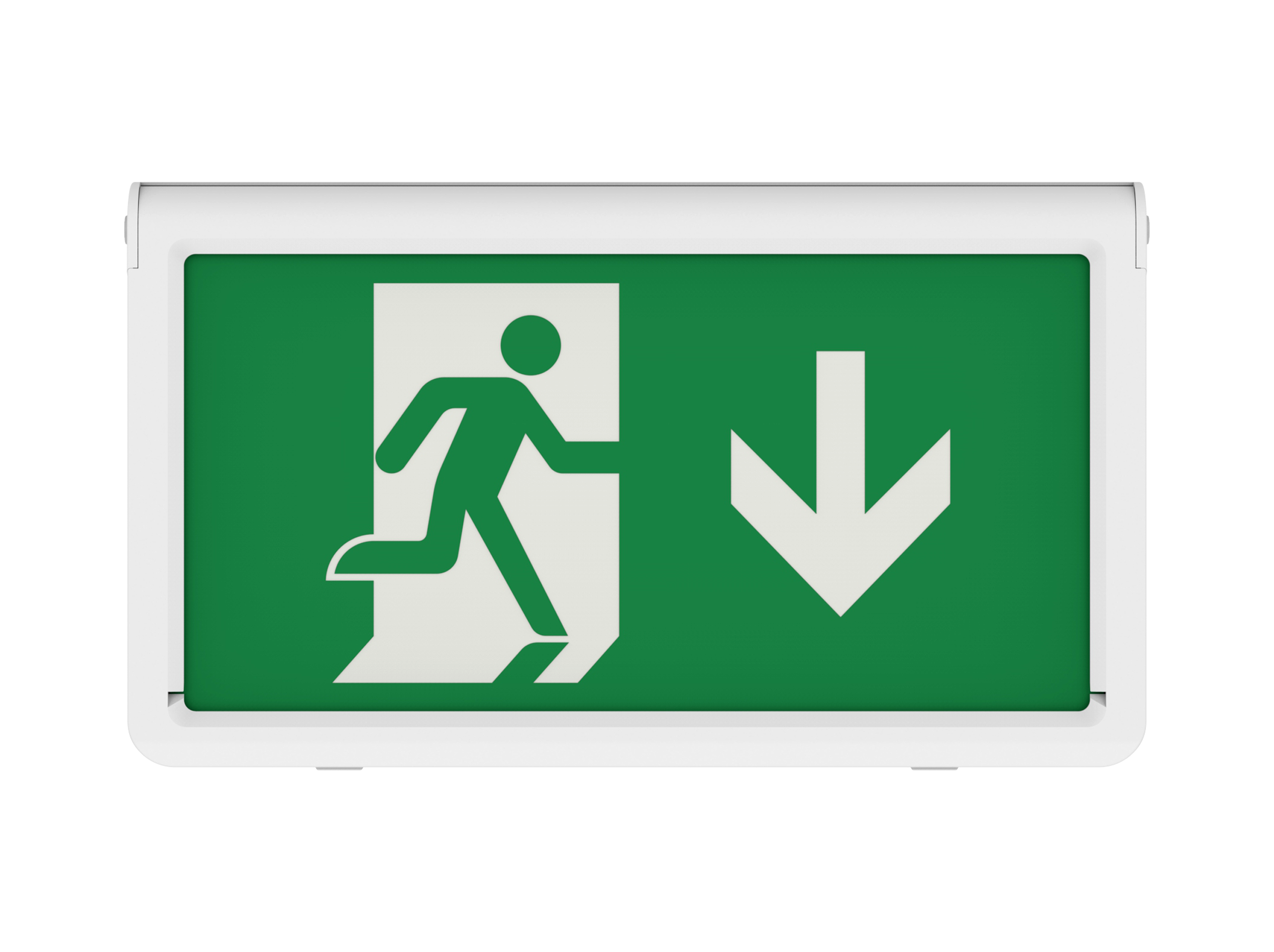 Paladin ST EM Exit Box — image 8