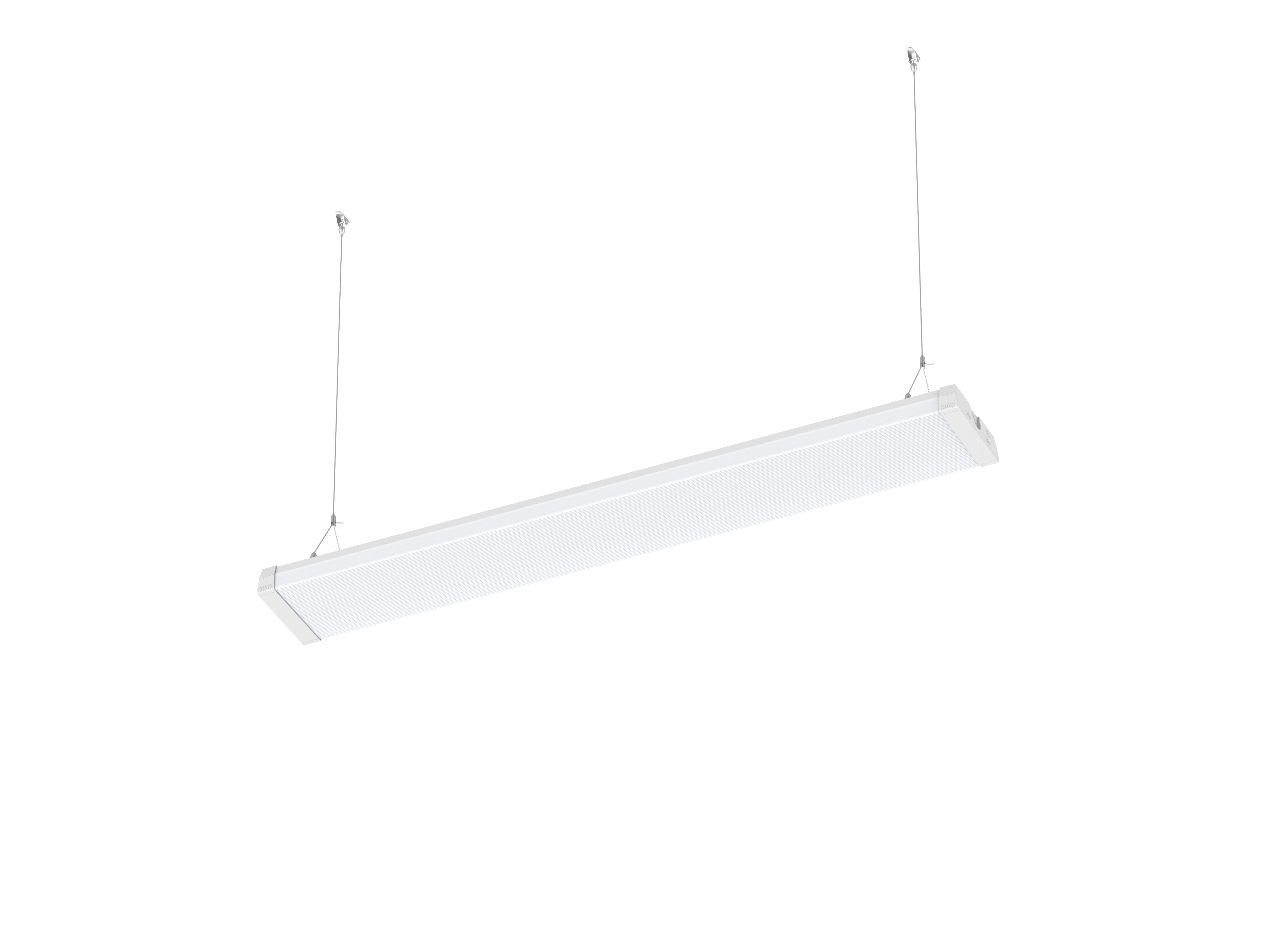 RadiForm — image 2